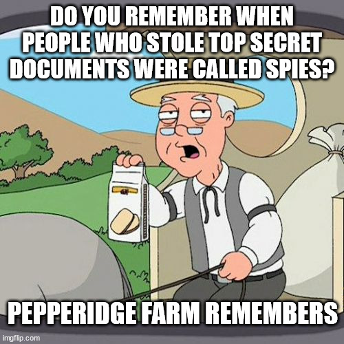 Pepperidge Farm Remembers | DO YOU REMEMBER WHEN PEOPLE WHO STOLE TOP SECRET DOCUMENTS WERE CALLED SPIES? PEPPERIDGE FARM REMEMBERS | image tagged in memes,pepperidge farm remembers | made w/ Imgflip meme maker