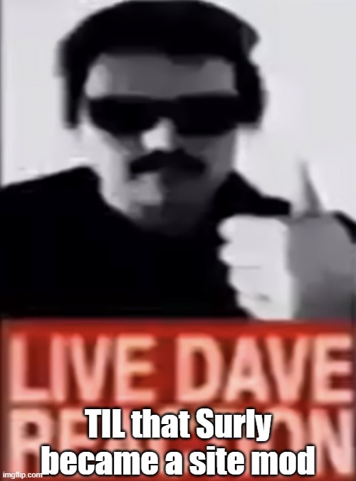 Live Dave Reaction | TIL that Surly became a site mod | made w/ Imgflip meme maker