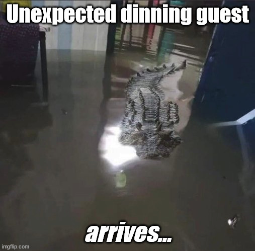 Unexpected visitor | Unexpected dinning guest; arrives... | image tagged in demotivationals,funny memes | made w/ Imgflip meme maker