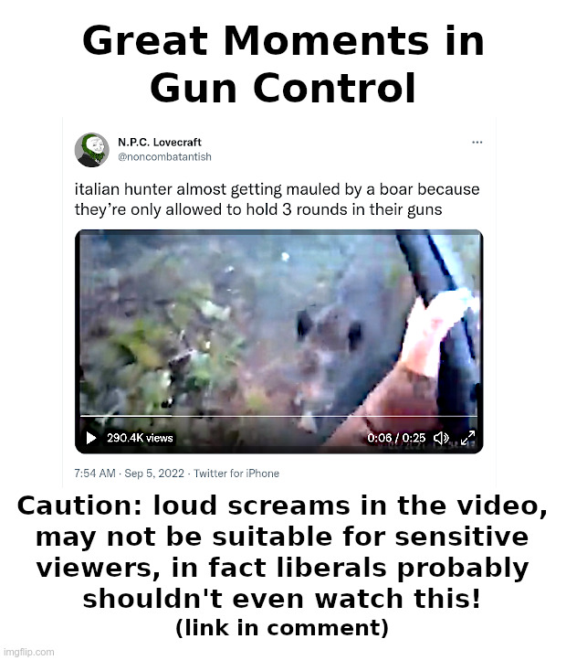Great Moments In Gun Control | image tagged in liberals,liberal logic,guns,gun control,idiots,idiocracy | made w/ Imgflip meme maker