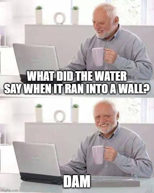 hehe | WHAT DID THE WATER SAY WHEN IT RAN INTO A WALL? DAM | image tagged in memes,hide the pain harold | made w/ Imgflip meme maker