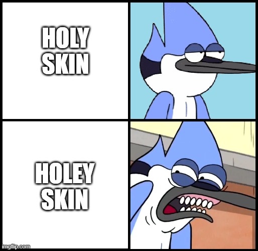 Holes | HOLY SKIN; HOLEY SKIN | image tagged in mordecai disgusted | made w/ Imgflip meme maker