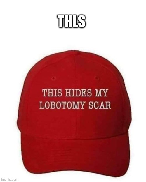 THLS | THLS | image tagged in trump,conservative,republican,democrat,trump supporter,liberal | made w/ Imgflip meme maker