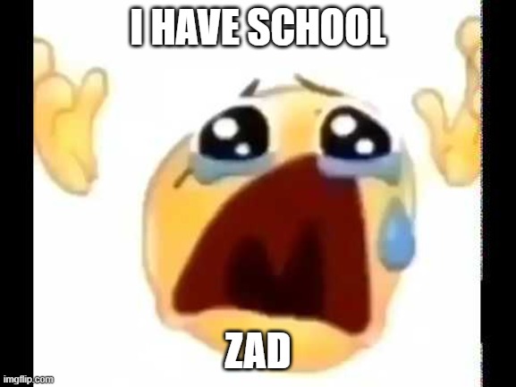 cursed crying emoji | I HAVE SCHOOL ZAD | image tagged in cursed crying emoji | made w/ Imgflip meme maker