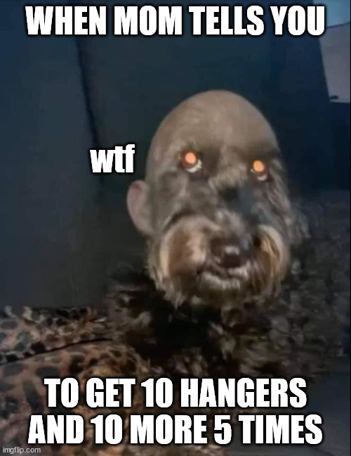 filipino moms be like: | WHEN MOM TELLS YOU; wtf; TO GET 10 HANGERS AND 1O MORE 5 TIMES | image tagged in curious dog | made w/ Imgflip meme maker
