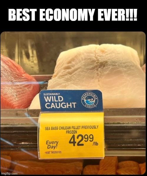 BEST ECONOMY EVER!!! | image tagged in inflation,biden,build back better | made w/ Imgflip meme maker