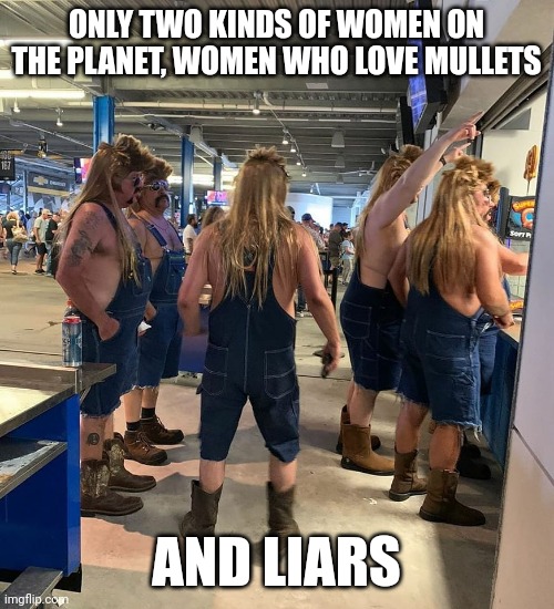 Women and mullets | ONLY TWO KINDS OF WOMEN ON THE PLANET, WOMEN WHO LOVE MULLETS; AND LIARS | image tagged in mullet men | made w/ Imgflip meme maker
