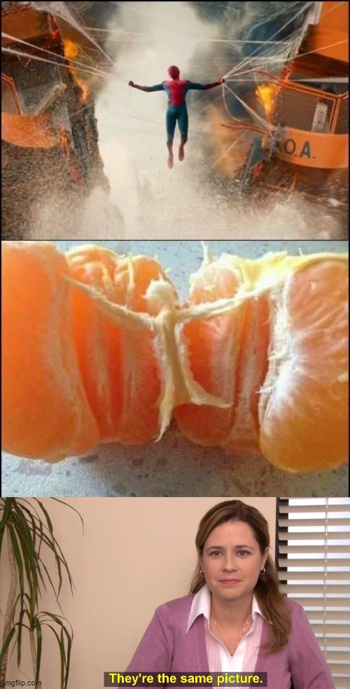 image tagged in memes,they're the same picture | made w/ Imgflip meme maker