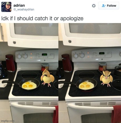 image tagged in dark humor | made w/ Imgflip meme maker