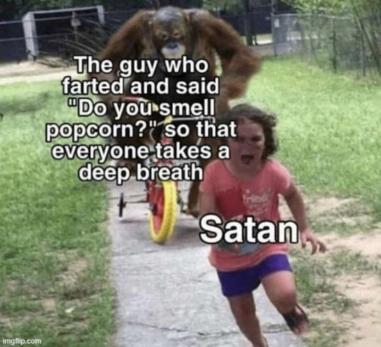 image tagged in orangutan chasing girl on a tricycle | made w/ Imgflip meme maker