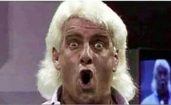 High Quality Ric Flair Whooo Blank Meme Template