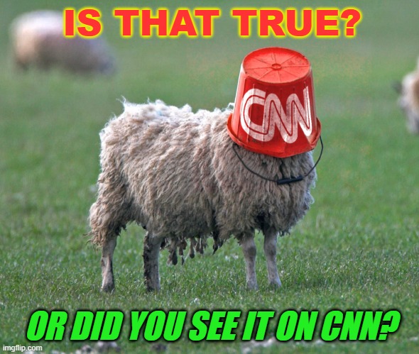 Is that true or did you see it on CNN ? | IS THAT TRUE? OR DID YOU SEE IT ON CNN? | image tagged in cnn bucket sheep | made w/ Imgflip meme maker