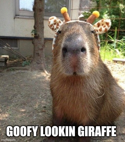 GOOFY LOOKIN GIRAFFE | made w/ Imgflip meme maker