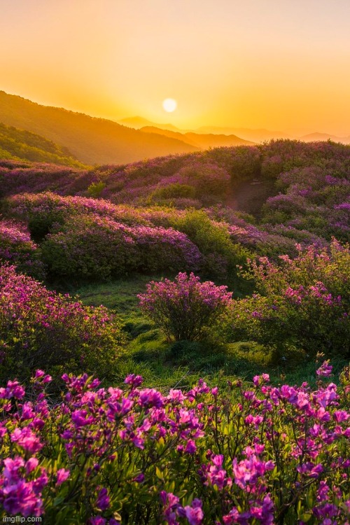 image tagged in awesome | made w/ Imgflip meme maker