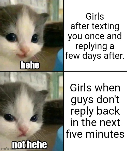 This frustratingly happens to those with partners | Girls after texting you once and replying a few days after. Girls when guys don't reply back in the next five minutes | image tagged in cute cat hehe and not hehe | made w/ Imgflip meme maker