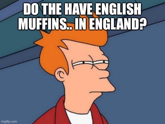 Futurama Fry | DO THE HAVE ENGLISH MUFFINS.. IN ENGLAND? | image tagged in memes,futurama fry | made w/ Imgflip meme maker