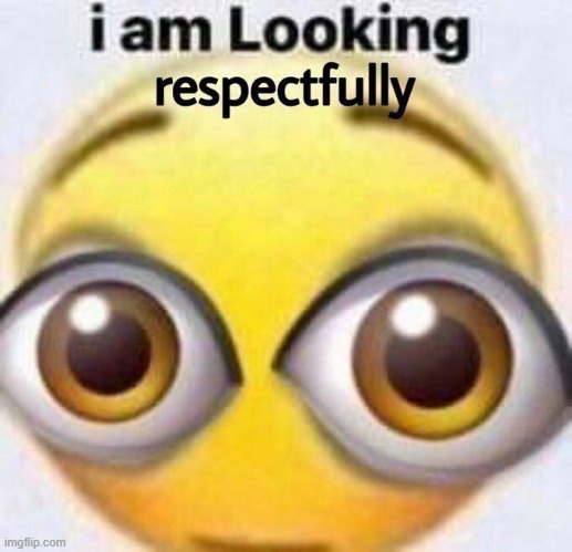 I am looking respectfully | image tagged in i am looking respectfully | made w/ Imgflip meme maker