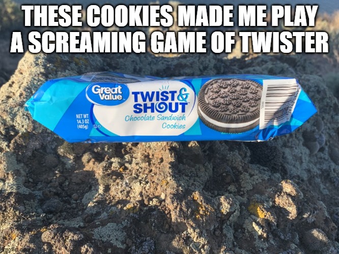I was looking like one of Vecna's victims after eating them | THESE COOKIES MADE ME PLAY A SCREAMING GAME OF TWISTER | image tagged in bootleg | made w/ Imgflip meme maker