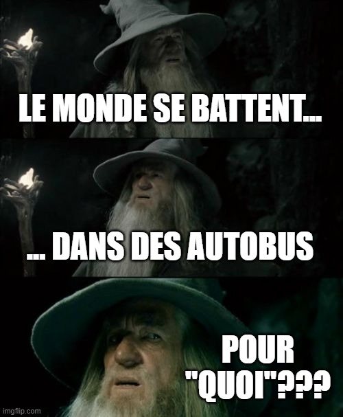 Confused Gandalf Meme | LE MONDE SE BATTENT... ... DANS DES AUTOBUS; POUR "QUOI"??? | image tagged in memes,confused gandalf,Quebec | made w/ Imgflip meme maker