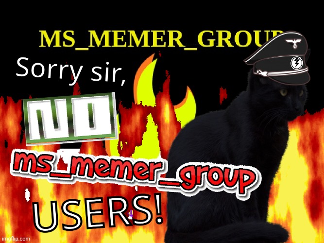 sorry sir, NO MS_MEMER_GROUP USERS! | image tagged in sorry sir no ms_memer_group users | made w/ Imgflip meme maker
