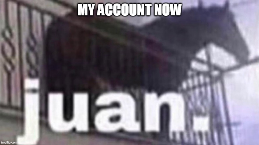 this gay | MY ACCOUNT NOW | image tagged in juan | made w/ Imgflip meme maker