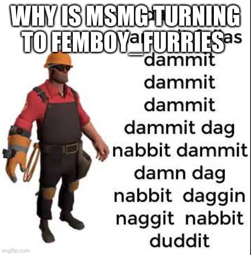 engineer teem fork rest too | WHY IS MSMG TURNING TO FEMBOY_FURRIES | image tagged in engineer teem fork rest too | made w/ Imgflip meme maker