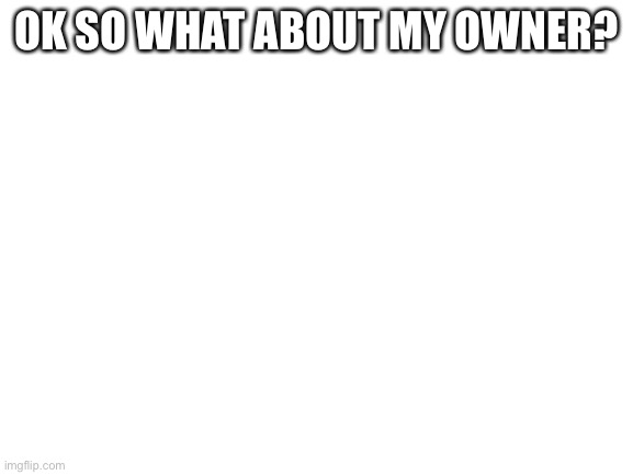 S | OK SO WHAT ABOUT MY OWNER? | image tagged in blank white template | made w/ Imgflip meme maker