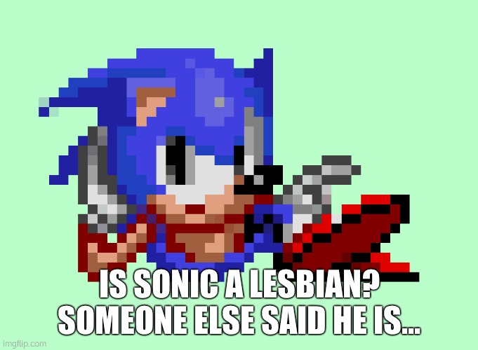 Sonic waiting | IS SONIC A LESBIAN? SOMEONE ELSE SAID HE IS... | image tagged in sonic waiting | made w/ Imgflip meme maker