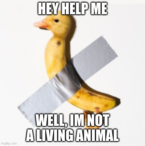 Duck | HEY HELP ME; WELL, IM NOT A LIVING ANIMAL | image tagged in duck,muck,truck,tuck,kuck | made w/ Imgflip meme maker