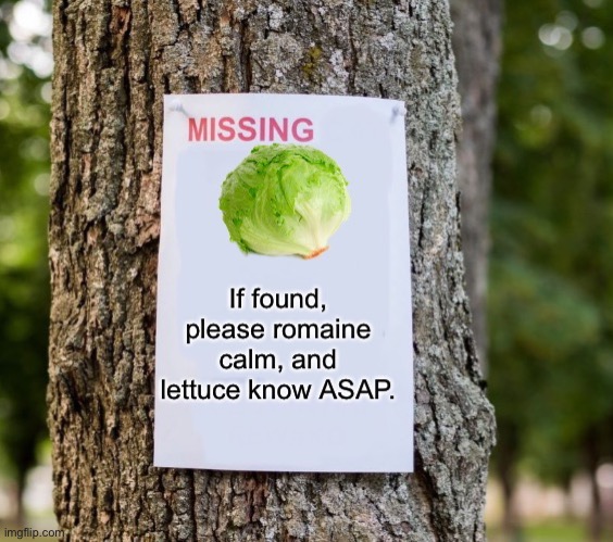 Sorry for the bad pun | image tagged in bad lettuce puns | made w/ Imgflip meme maker