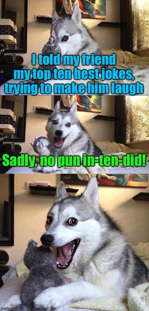 More bad puns | I told my friend my top ten best jokes, trying to make him laugh; Sadly, no pun in-ten-did! | image tagged in memes,bad pun dog | made w/ Imgflip meme maker
