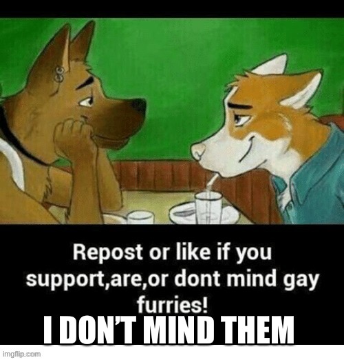 I don’t mind them, please don’t hate me for this- (I’ve gotten a lot of hate about my life recently) | I DON’T MIND THEM | image tagged in furry,acceptance | made w/ Imgflip meme maker