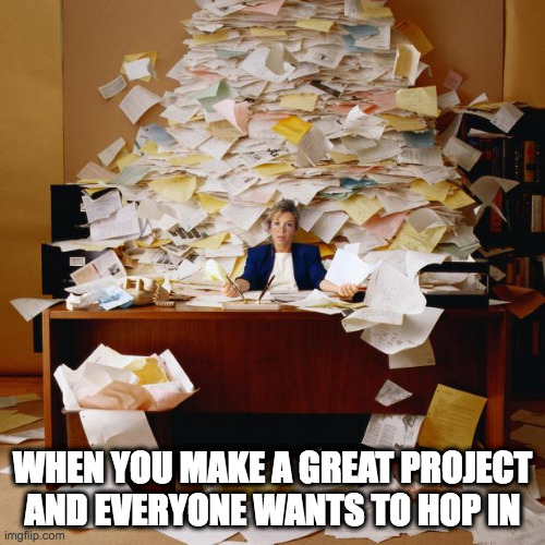 Busy | WHEN YOU MAKE A GREAT PROJECT AND EVERYONE WANTS TO HOP IN | image tagged in busy | made w/ Imgflip meme maker