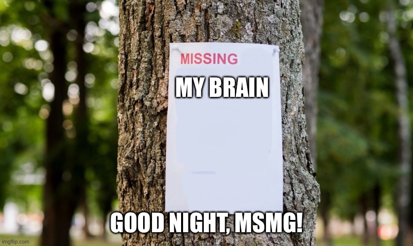 Missing | MY BRAIN; GOOD NIGHT, MSMG! | image tagged in missing | made w/ Imgflip meme maker