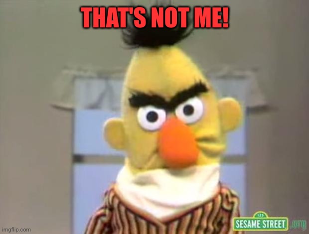 Sesame Street - Angry Bert | THAT'S NOT ME! | image tagged in sesame street - angry bert | made w/ Imgflip meme maker