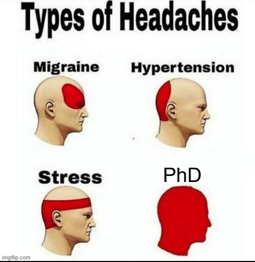 PhD stress | PhD | image tagged in types of headaches meme | made w/ Imgflip meme maker