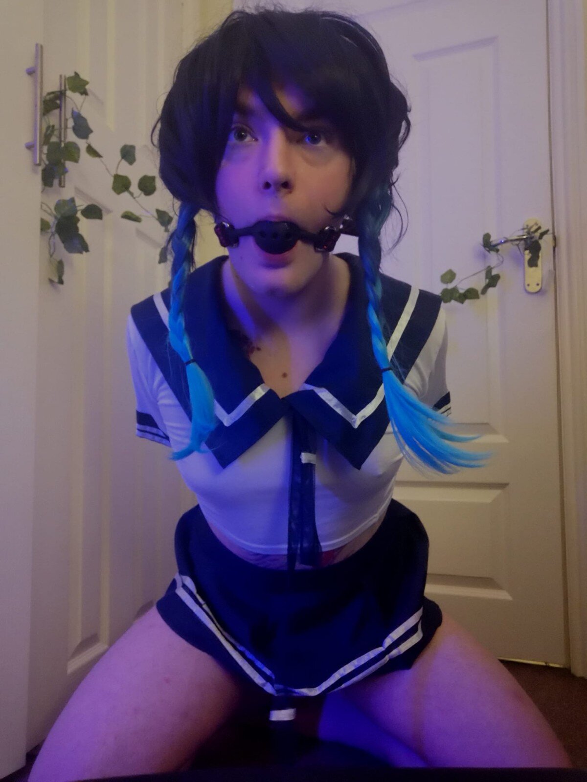 TorturedTransgirl Blank Meme Template