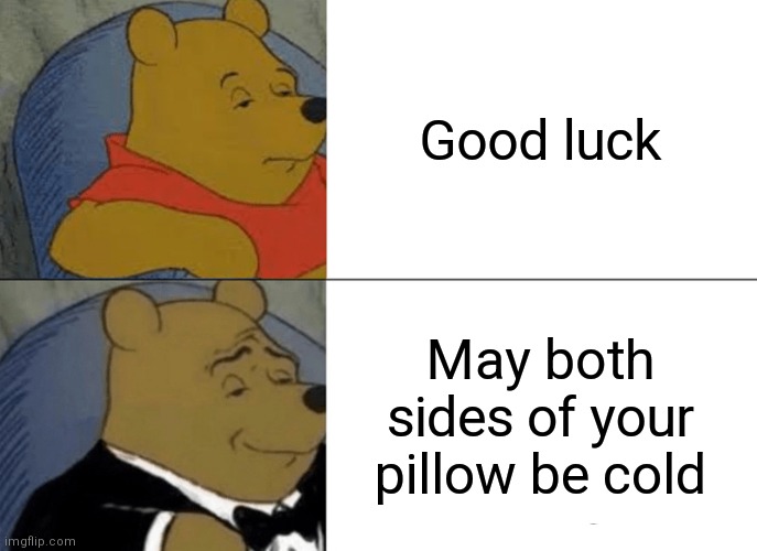 Pilow | Good luck; May both sides of your pillow be cold | image tagged in memes,tuxedo winnie the pooh | made w/ Imgflip meme maker