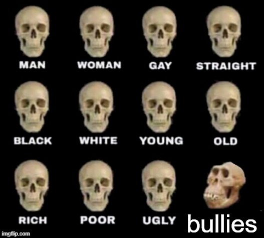 true that.. my most relatable meme | bullies | image tagged in idiot skull,funny,relatable | made w/ Imgflip meme maker
