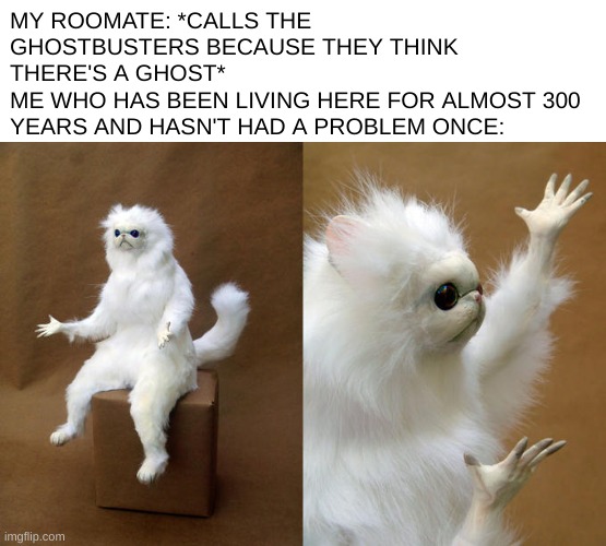 I had to re-make this once due to some issues | MY ROOMATE: *CALLS THE GHOSTBUSTERS BECAUSE THEY THINK THERE'S A GHOST*
ME WHO HAS BEEN LIVING HERE FOR ALMOST 300 YEARS AND HASN'T HAD A PROBLEM ONCE: | image tagged in memes,persian cat room guardian,funni | made w/ Imgflip meme maker