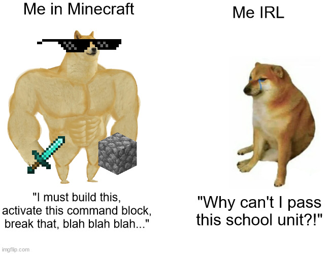 Comment if you agree... NO UPVOTES. | Me in Minecraft; Me IRL; "I must build this, activate this command block, break that, blah blah blah..."; "Why can't I pass this school unit?!" | image tagged in memes,buff doge vs cheems | made w/ Imgflip meme maker
