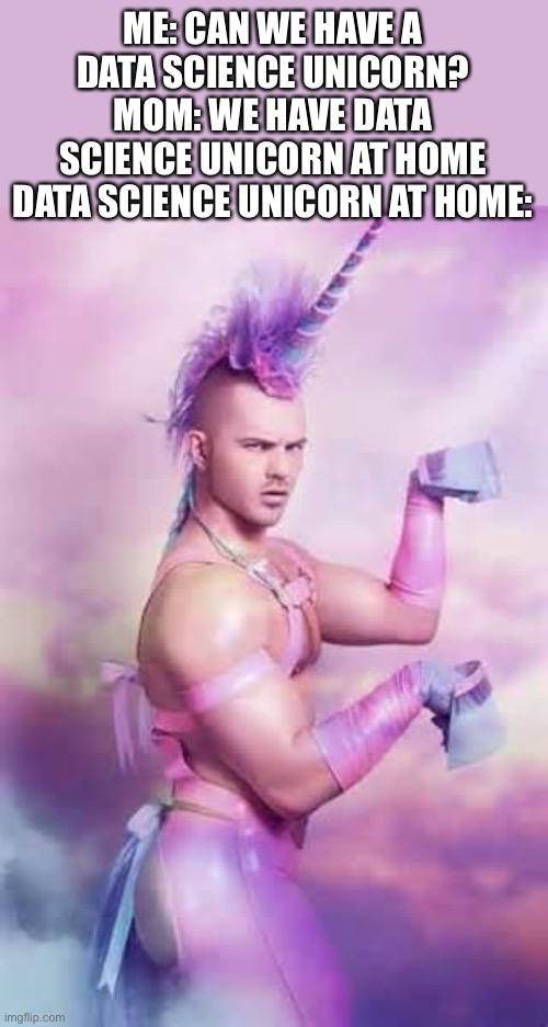 Gay Unicorn | ME: CAN WE HAVE A DATA SCIENCE UNICORN?
MOM: WE HAVE DATA SCIENCE UNICORN AT HOME
DATA SCIENCE UNICORN AT HOME: | image tagged in gay unicorn | made w/ Imgflip meme maker