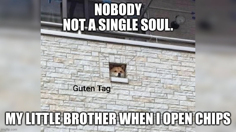 chip | NOBODY
NOT A SINGLE SOUL. MY LITTLE BROTHER WHEN I OPEN CHIPS | image tagged in guten tag | made w/ Imgflip meme maker