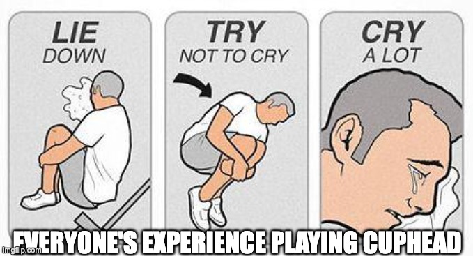 cry a lot | EVERYONE'S EXPERIENCE PLAYING CUPHEAD | image tagged in cry a lot | made w/ Imgflip meme maker