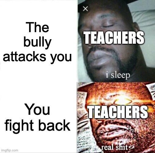 Schools in a nutshell | The bully attacks you; TEACHERS; You fight back; TEACHERS | image tagged in memes,sleeping shaq | made w/ Imgflip meme maker