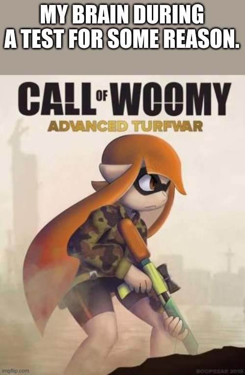 Call of Woomy Advanced Turfwar | MY BRAIN DURING A TEST FOR SOME REASON. | image tagged in call of woomy advanced turfwar | made w/ Imgflip meme maker