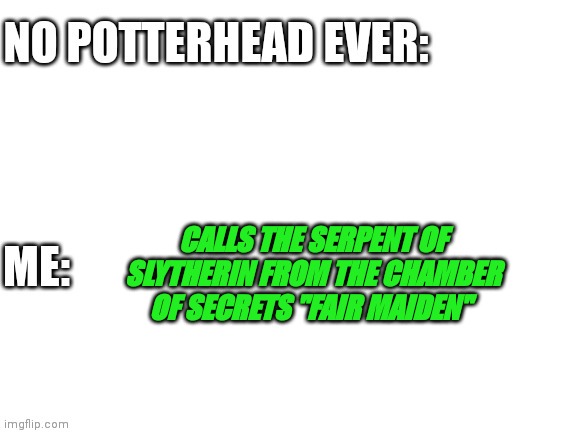 I'm probably the only one who Calls the Serpent of Slytherin from the Chamber of Secrets "Fair Maiden" | CALLS THE SERPENT OF SLYTHERIN FROM THE CHAMBER OF SECRETS "FAIR MAIDEN" | image tagged in no potterhead ever me | made w/ Imgflip meme maker