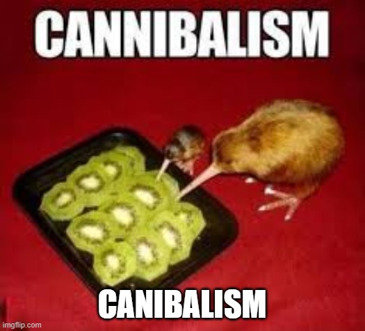 canibalism | CANIBALISM | image tagged in canibalism,kiwi | made w/ Imgflip meme maker