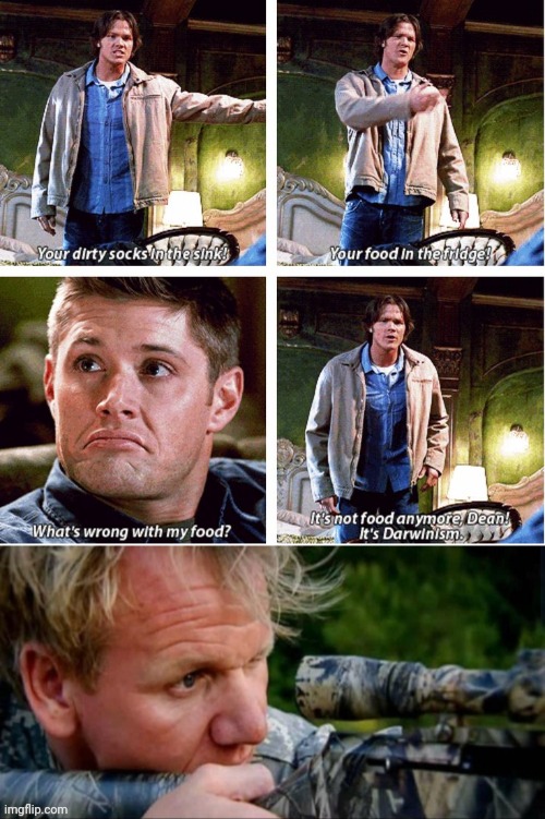 Gordon Ramsey would murder Dean for his "Survival Food" | image tagged in gordon ramsey,angry chef gordon ramsay,spn,food,disgusting | made w/ Imgflip meme maker