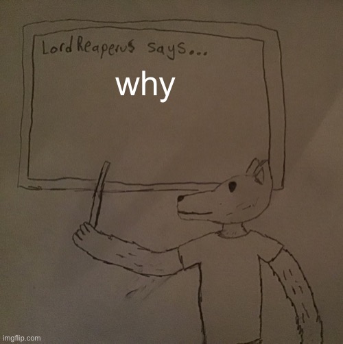 LordReaperus says | why | image tagged in lordreaperus says | made w/ Imgflip meme maker